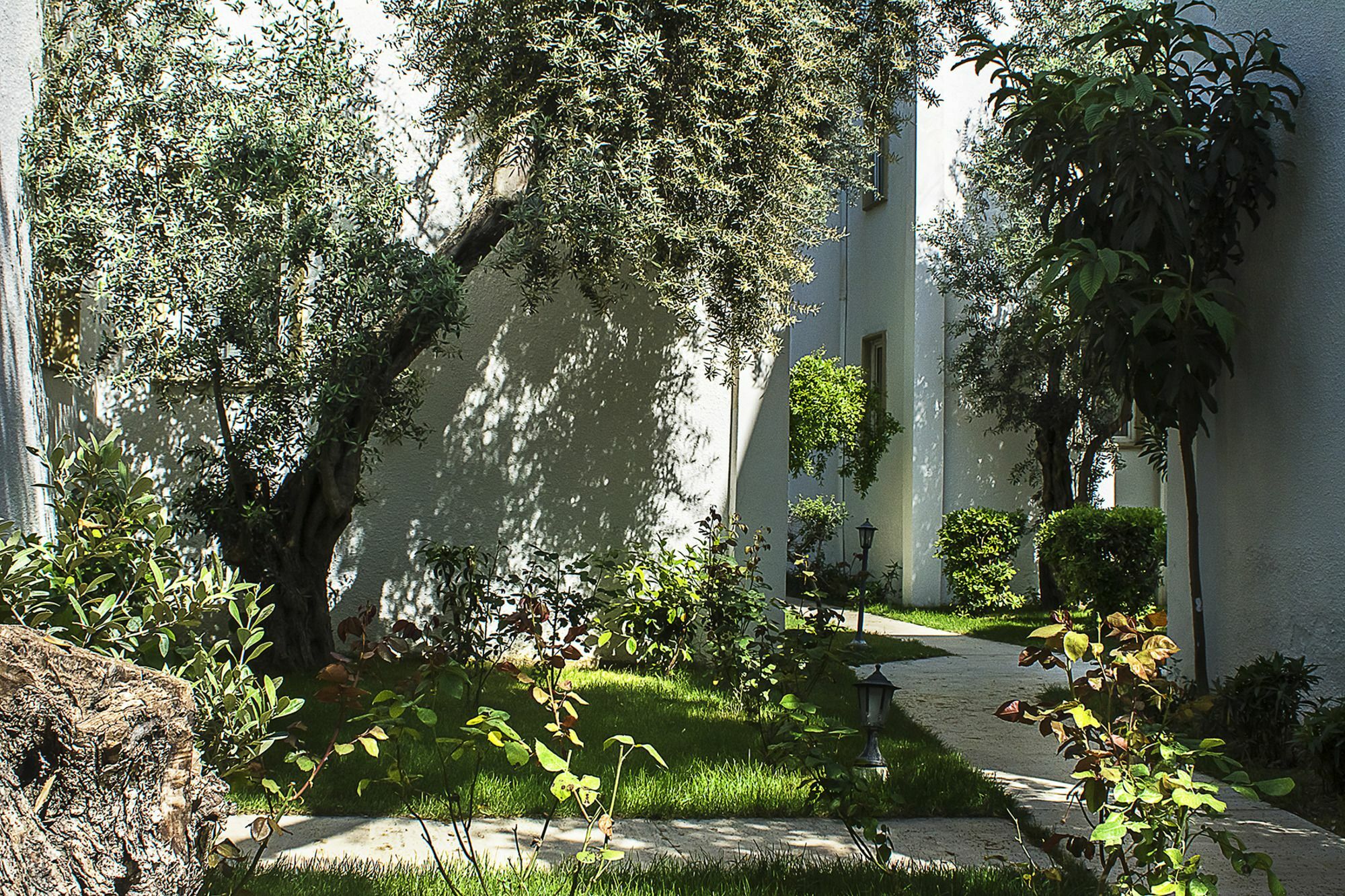 Hotel Princess Diltua Bodrum Esterno foto
