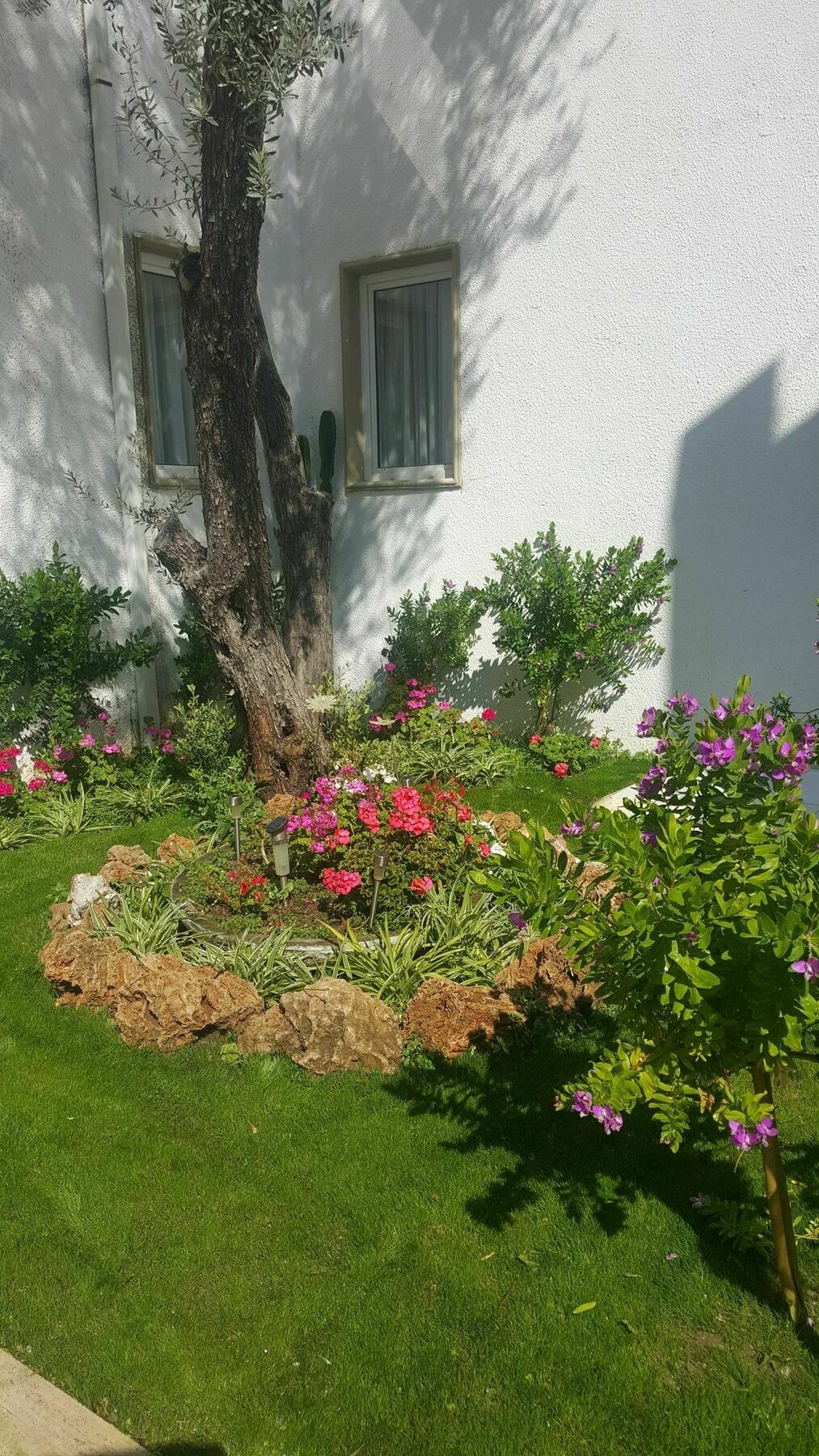 Hotel Princess Diltua Bodrum Esterno foto